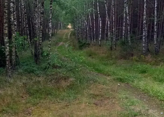 Radogoszcz- Nad Jeziorem דירה